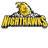 CT Nighthawks