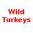 Wild Turkeys